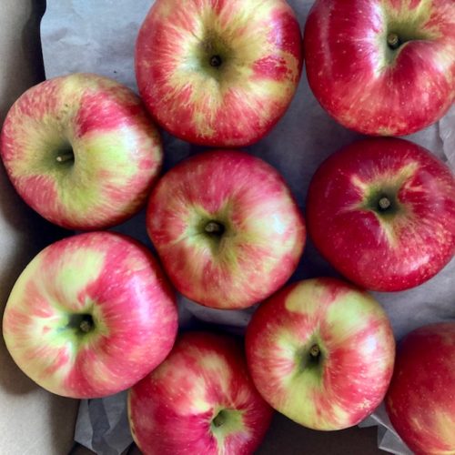 Honeycrisp Apples 3 Lb Bag CasaCano Farms