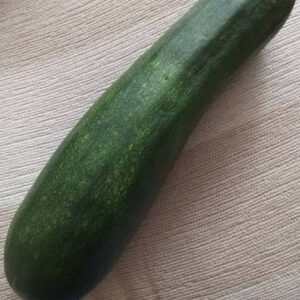 Big Zucchini