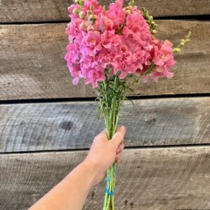 Small Flower Bouquet