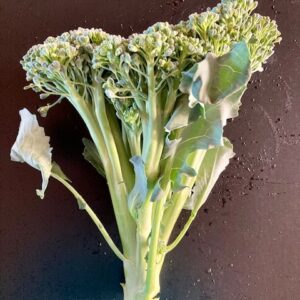 Broccoli, 1.5 Lb