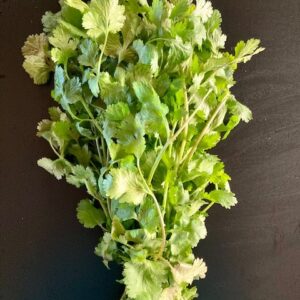 Cilantro Bunch