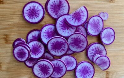 Fermented Roots