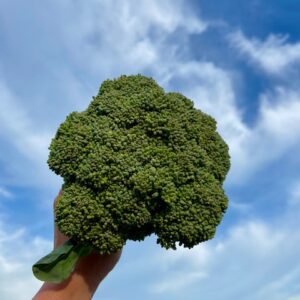 Broccoli, each