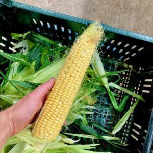 Sweet Corn - 5 ears for $10