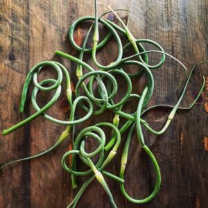 Garlic Scapes