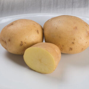 Yukon Gold, New Potatoes