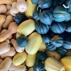 Acorn Squash 6 Lbs