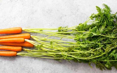 Garden Greens Pesto