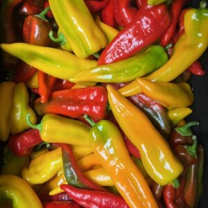 Carmen Sweet Pepper - 1.25 LB Bag