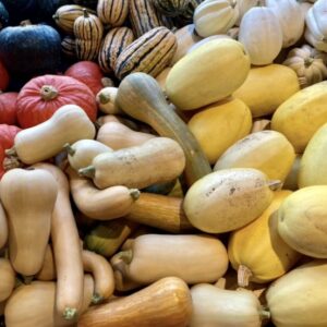 Winter Squash, Bulk 35 Lb Case