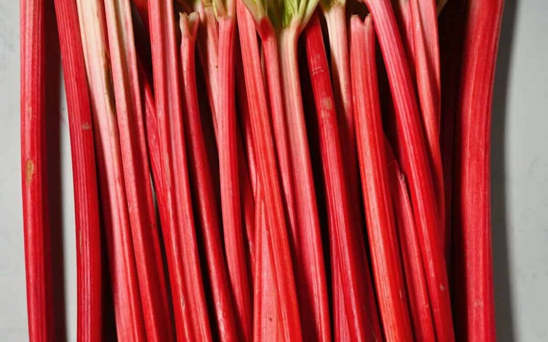 Strawberry Rhubarb Sauce