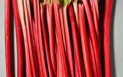 Strawberry Rhubarb Sauce