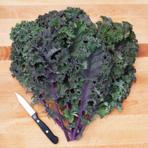 Curly Red Kale Bunch