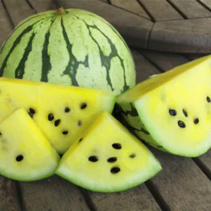 Early Moonbeam Yellow Watermelon