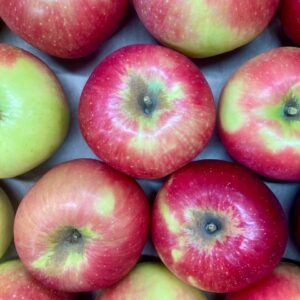 Prairie Spy Heirloom Apples 3 Lb Bag