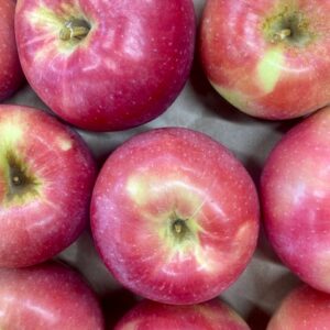 Wagener Heirloom Apples 3 Lb Bag