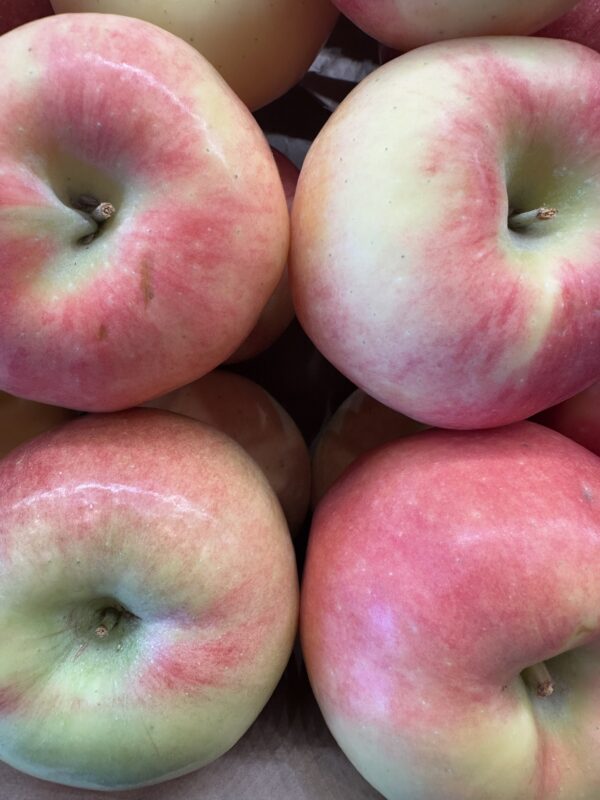 Ambrosia Apples 3 Lb Bag