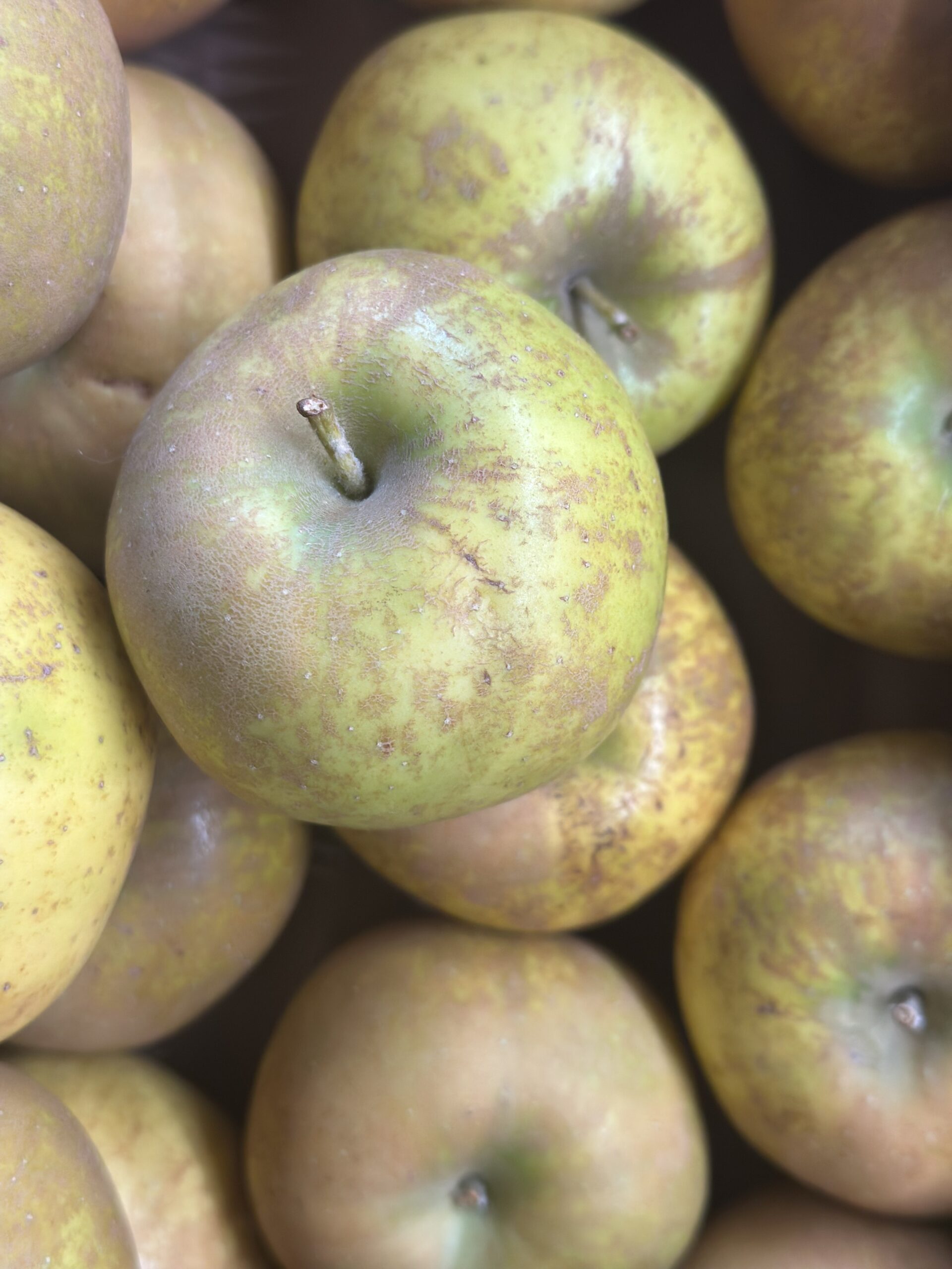 Golden Russet Apples 3 Lb Bag