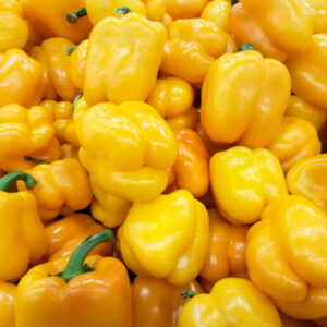 Yellow Bell Peppers - 1.25 Lb. Bag