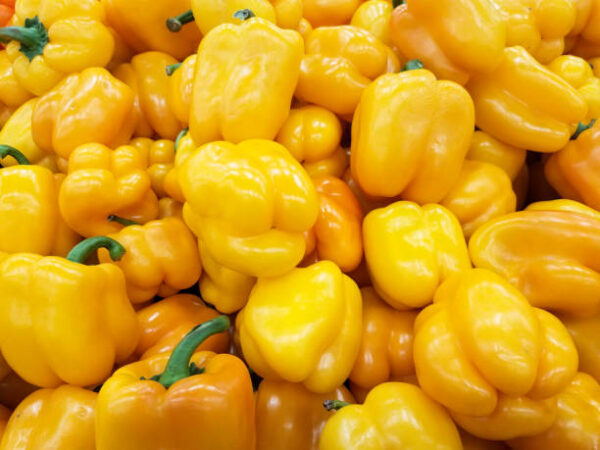 Yellow Bell Peppers - 1.25 Lb. Bag