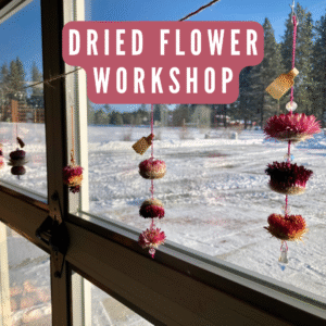Dried Flower Workshop - Saturday, December 6th, 11:00am