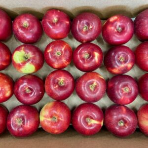 Box of Apples or Pears