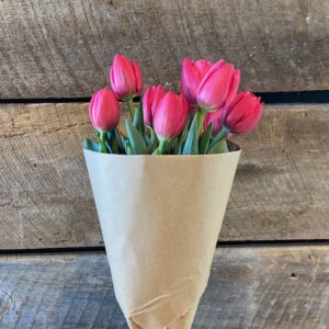 Tulip Bouquet