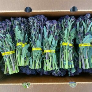 Purple Sprouting Broccoli
