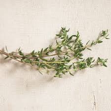 Thyme Bunch