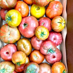 Heirloom Tomatoes - 10 Lb Box