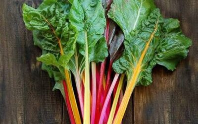Rainbow Chard Hummus